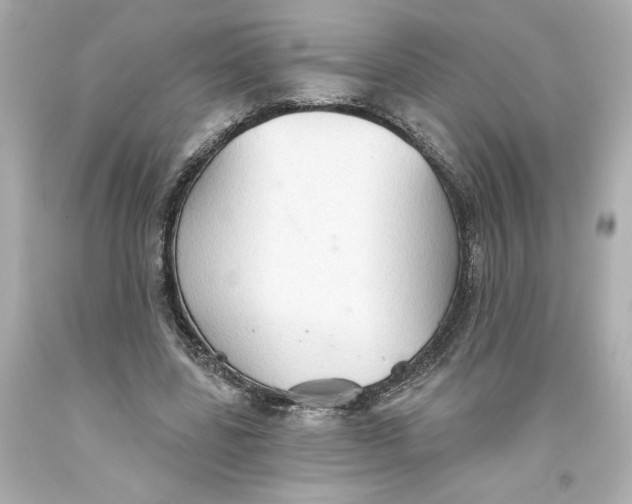 X0000093560539200711051039