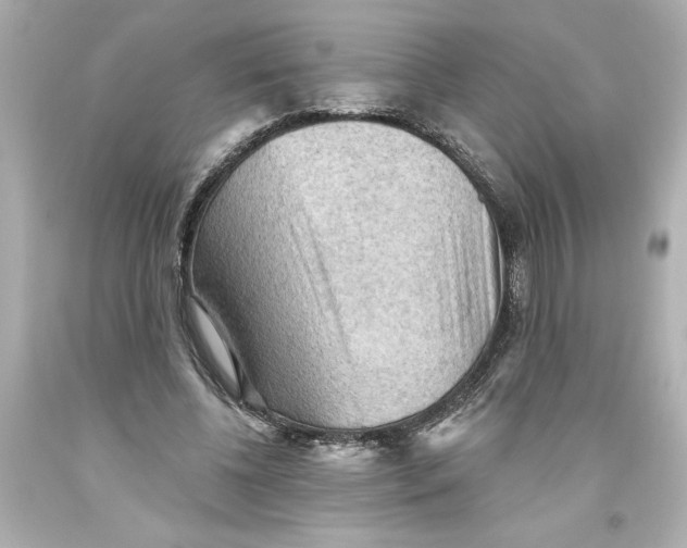 X0000093560540200711051039