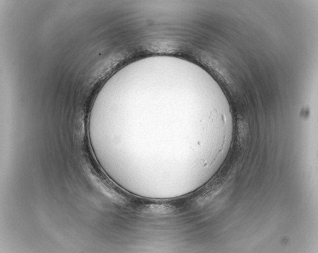 X0000093560541200711051039