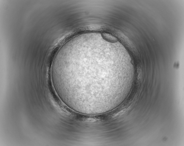 X0000093560542200711051039