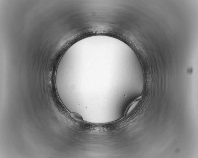 X0000093560543200711051039