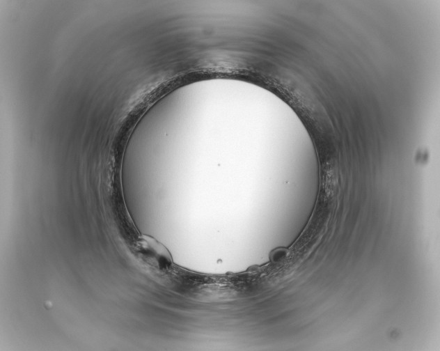 X0000093560544200711051039