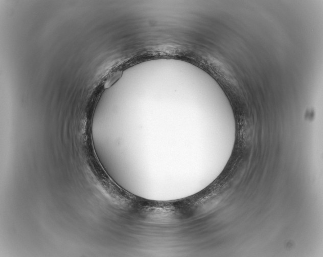 X0000093560548200711051039