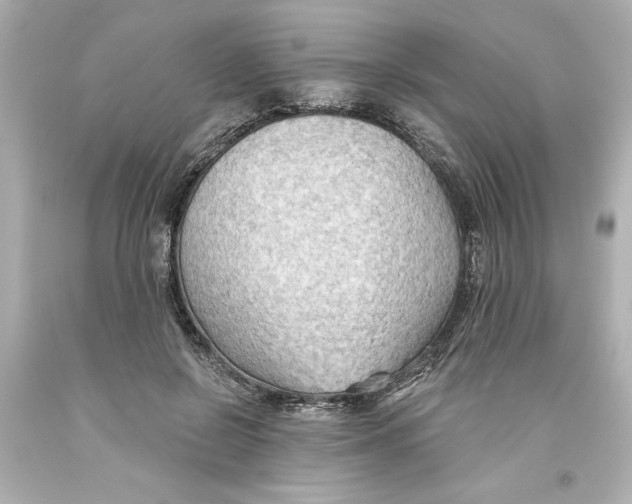 X0000093560550200711051039