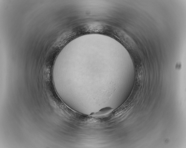 X0000093560551200711051039