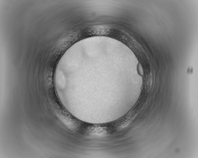 X0000093560553200711051039