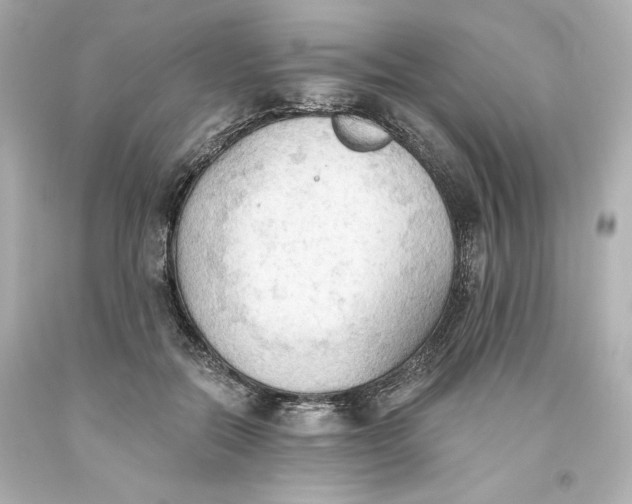 X0000093560554200711051039