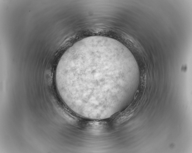 X0000093560558200711051039