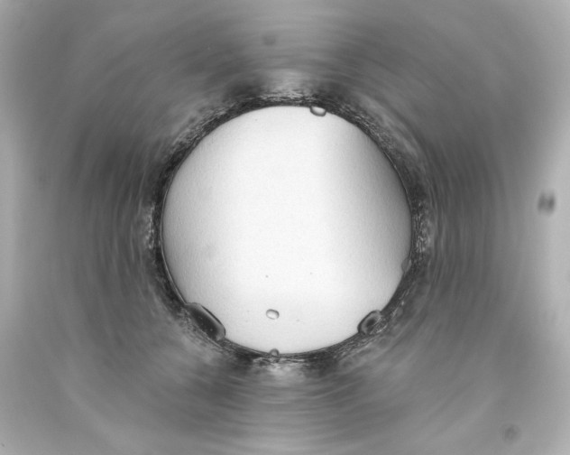 X0000093560560200711051039