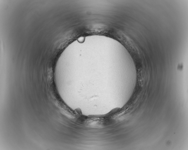 X0000093560563200711051039