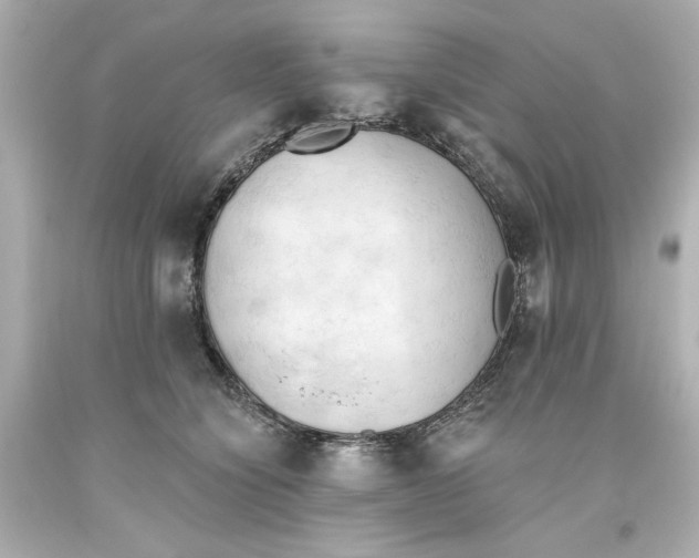 X0000093560564200711051039