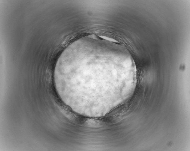 X0000093560568200711051039