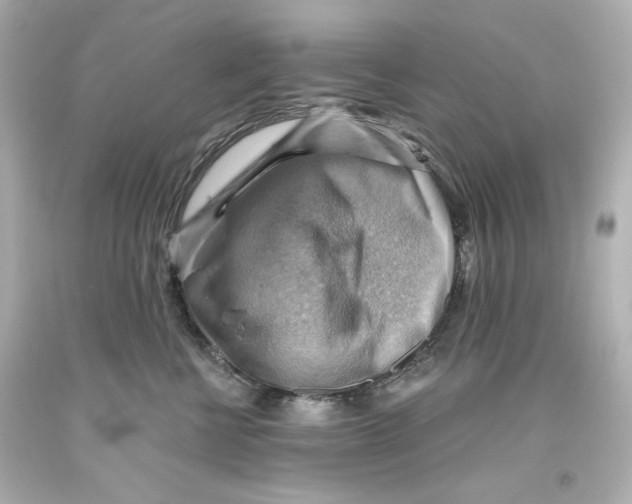 X0000093560570200711051039