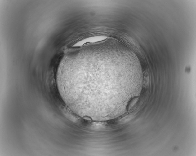 X0000093560573200711051039