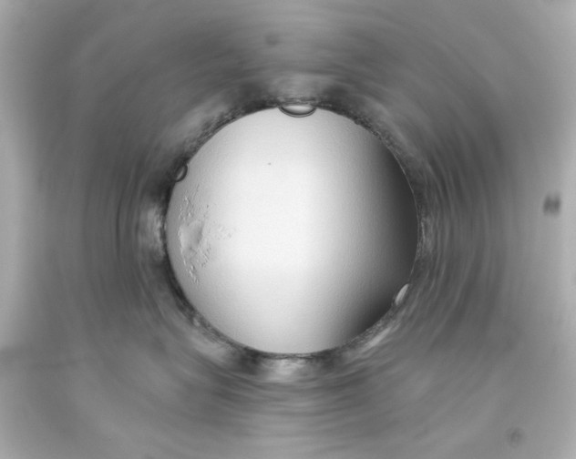 X0000093560575200711051039