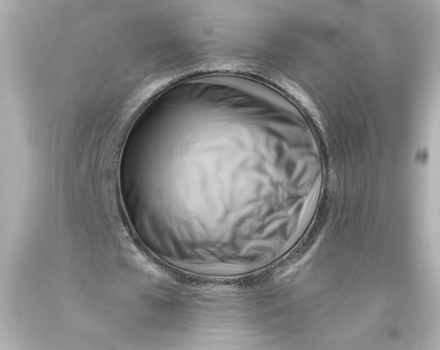 X0000093560577200711051039