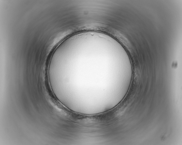 X0000093560578200711051039