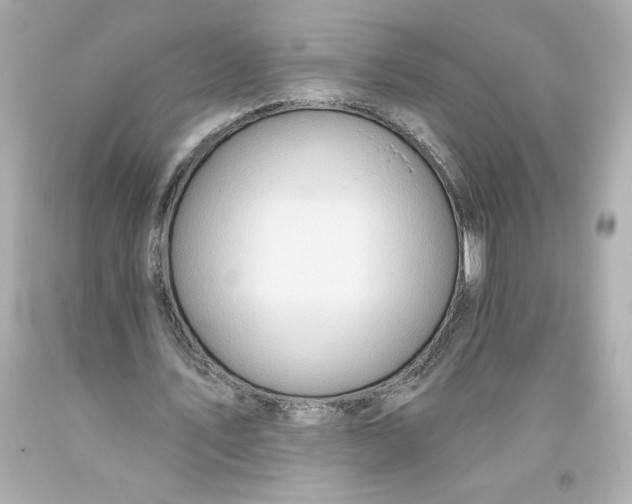 X0000093560579200711051039