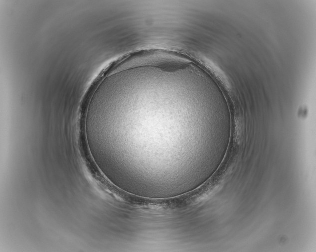 X0000093560580200711051039