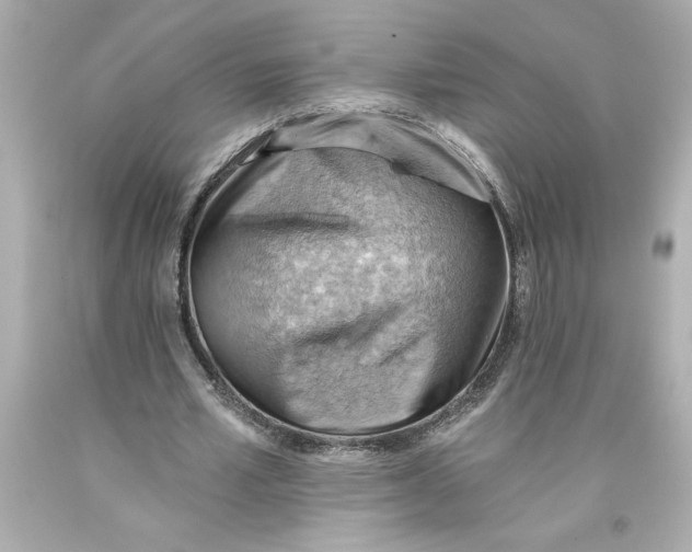 X0000093560581200711051039