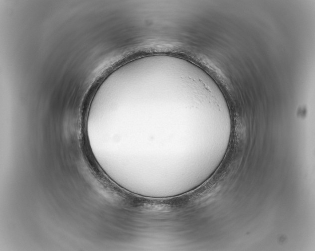 X0000093560582200711051039