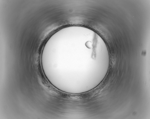 X0000093560583200711051039