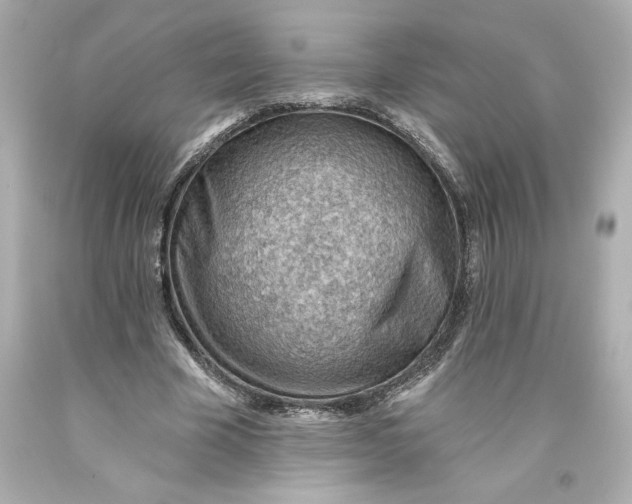 X0000093560585200711051039