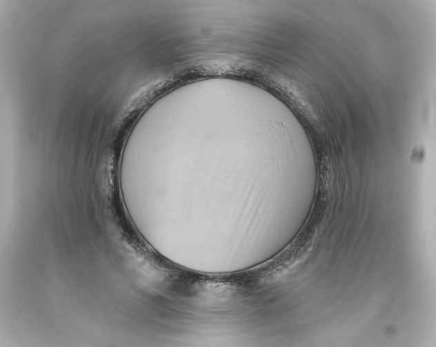 X0000093560590200711051039