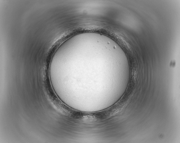 X0000093560591200711051039