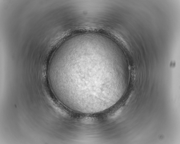 X0000093560593200711051039