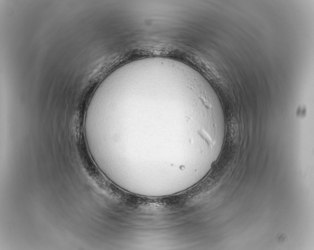 X0000093560594200711051039