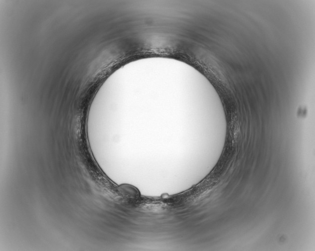 X0000093560595200711051039