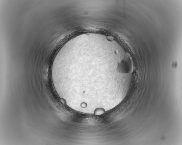 X0000093560596200711051039