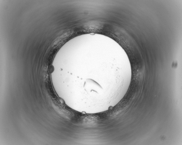 X0000093560599200711051039