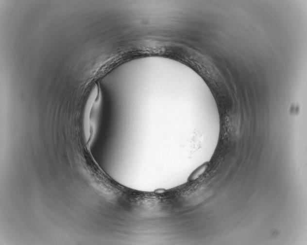 X0000093560600200711051039