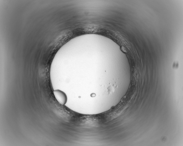 X0000093560601200711051039