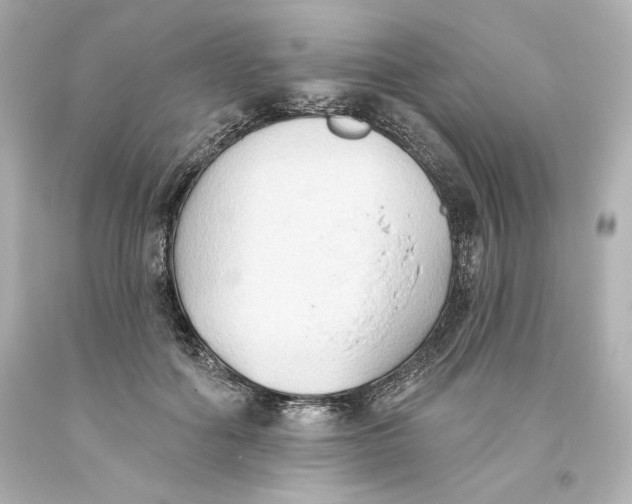 X0000093560602200711051039