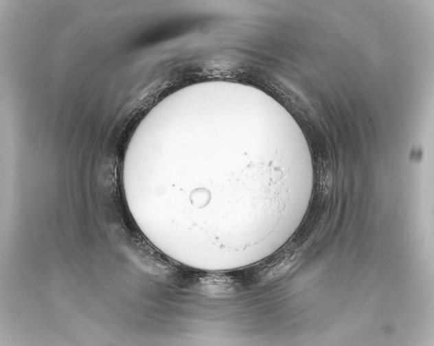 X0000093560603200711051039