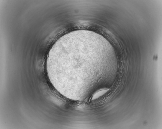 X0000093560604200711051039