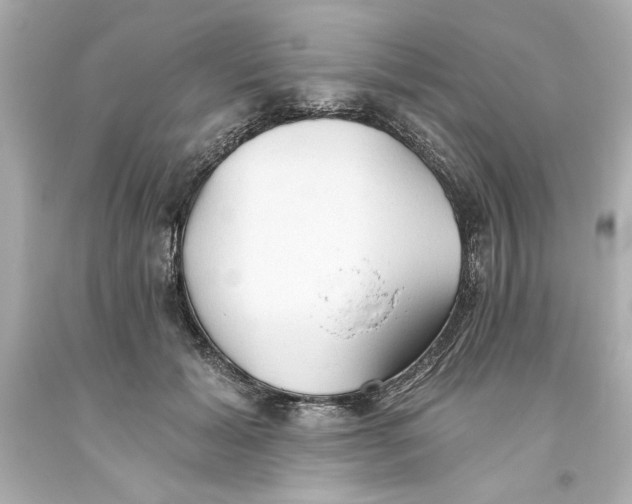 X0000093560605200711051039