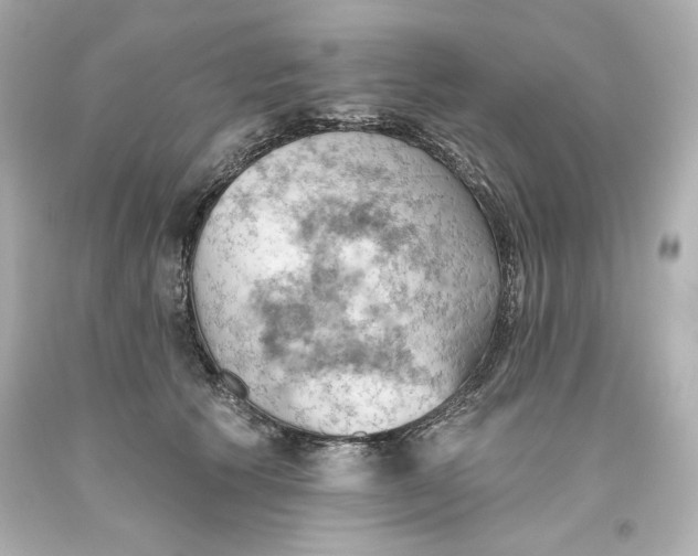 X0000093560609200711051039