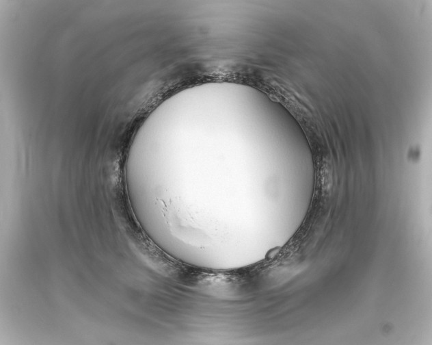 X0000093560611200711051038