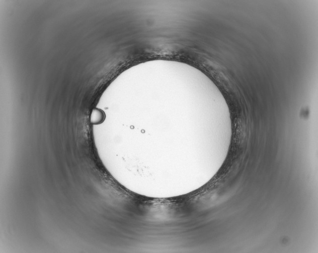 X0000093560612200711051038