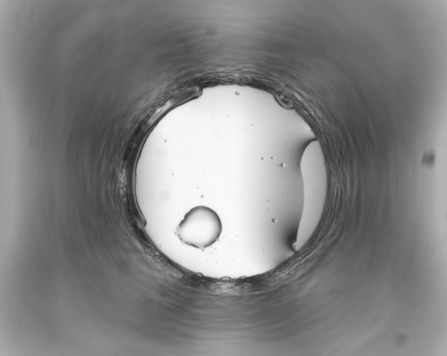 X0000093560613200711051038