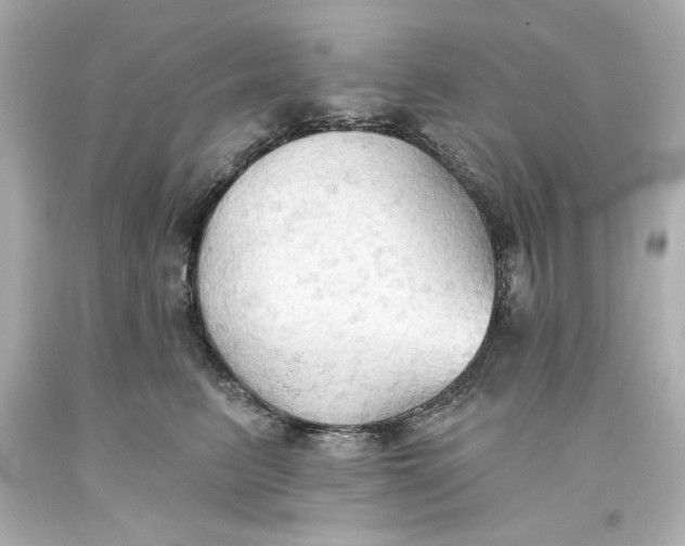 X0000093560615200711051038