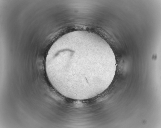 X0000093560616200711051038