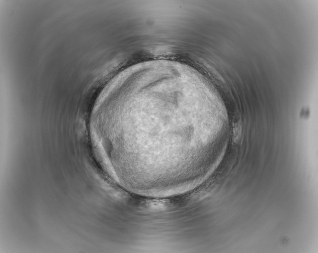 X0000093560618200711051038