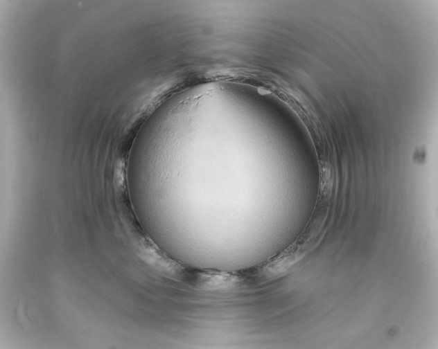 X0000093560621200711051038