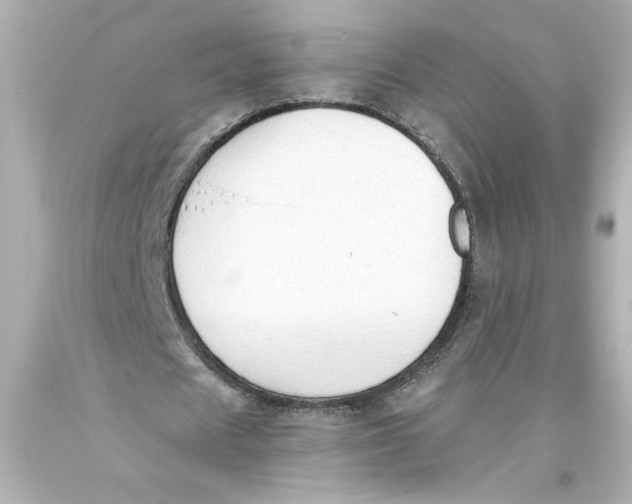 X0000093560625200711051038