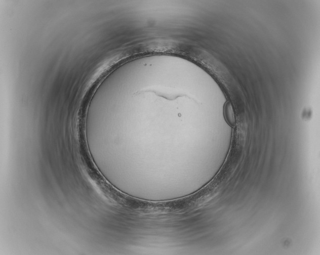 X0000093560626200711051038